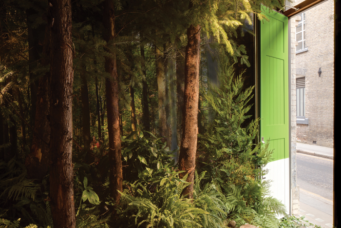 c51XuO3z4ksYjlG78FLO0oENIk5K69wi_AirBnB_Greenery-082